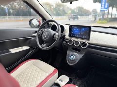 ORA Black Cat 351km Luxury - ფოტო 13