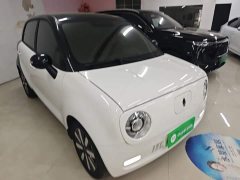 ORA Black Cat 351km Standard - ფოტო 3