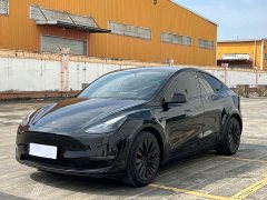 Tesla Model Y Standard Range RWD - ფოტო 1