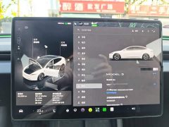 Tesla Model 3 Rear-Wheel Drive - ფოტო 11