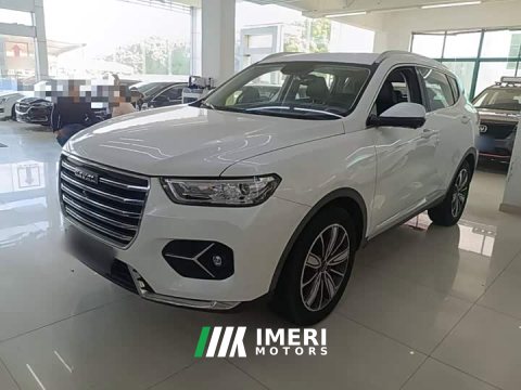 2021 Haval H6 1.5T Automatic Champion Edition - ავტომობილი ჩინეთიდან