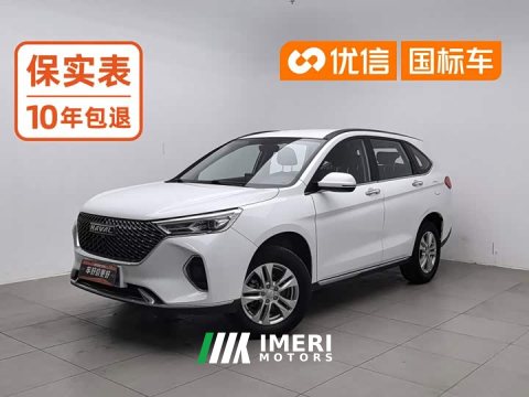 2021 Haval M6 PLUS 1.5T Manual Elite Smart Connected - ავტომობილი ჩინეთიდან