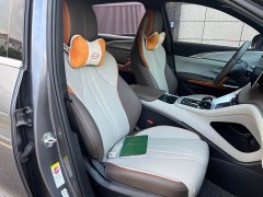 BYD Song Pro New Energy DM-i 51km Premium Edition - photo 18