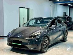 Tesla Model Y Rear-Wheel Drive - ფოტო 1