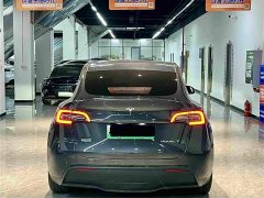 Tesla Model Y Rear-Wheel Drive - ფოტო 10