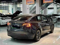 Tesla Model Y Rear-Wheel Drive - ფოტო 11
