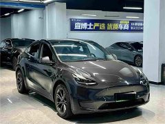 Tesla Model Y Rear-Wheel Drive - ფოტო 3
