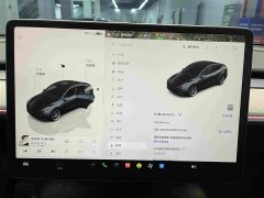 Tesla Model Y Rear-Wheel Drive - ფოტო 8