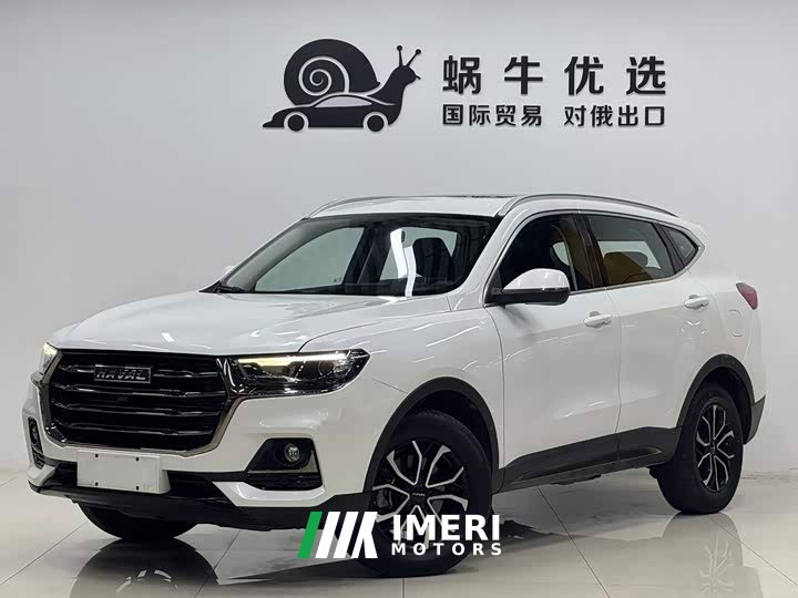 Haval H6 National Trend Edition 1.5T Automatic Urban Version - ავტომობილი ჩინეთიდან