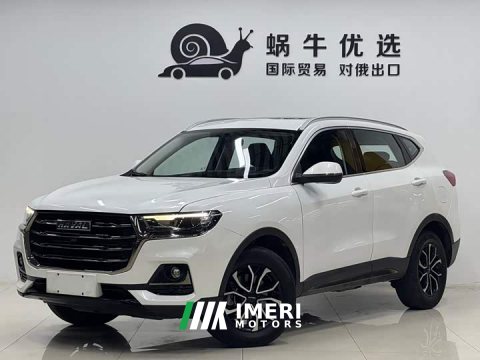2022 Haval H6 National Trend Edition 1.5T Automatic Urban Version - ავტომობილი ჩინეთიდან