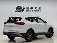 Haval H6 National Trend Edition 1.5T Automatic Urban Version - ფოტო 6