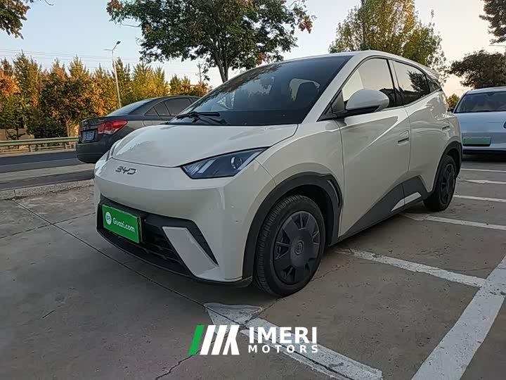 BYD Seagull 305km Vitality Edition