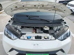 BYD Seagull 305km Vitality Edition - photo 19