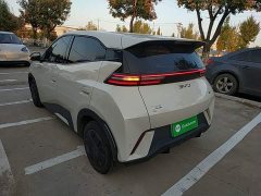 BYD Seagull 305km Vitality Edition - photo 4