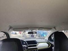 Changan Benben E-Star Heartbeat Edition Ternary Lithium - ფოტო 17