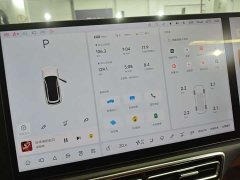 Li Auto L7 Pro - ფოტო 9