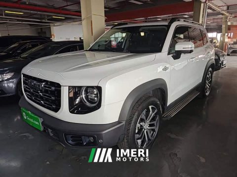 2021 Great Wall Dachshund 1.5T DCT Two-Wheel Drive Border Collie Edition - ავტომობილი ჩინეთიდან