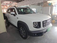 Great Wall Dachshund 1.5T DCT Two-Wheel Drive Border Collie Edition - фото 3