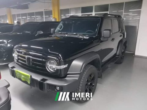 2021 Tank 300 Off-Road Edition 2.0T Challenger - ავტომობილი ჩინეთიდან