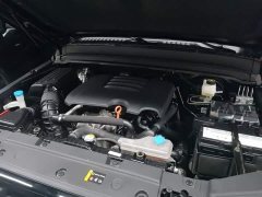 Tank 300 Off-Road Edition 2.0T Challenger - ფოტო 19