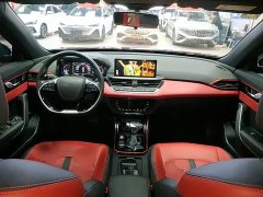 Dongfeng Yixuan 230T Automatic Shadow Knight Edition - ფოტო 9