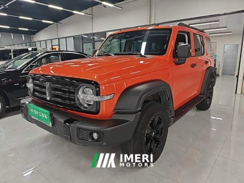 2021 Tank 300 Off-Road Edition 2.0T Conqueror - ავტომობილი ჩინეთიდან