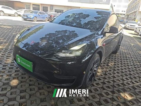 2021 Tesla Model Y Standard Range RWD - автомобиль из Китая