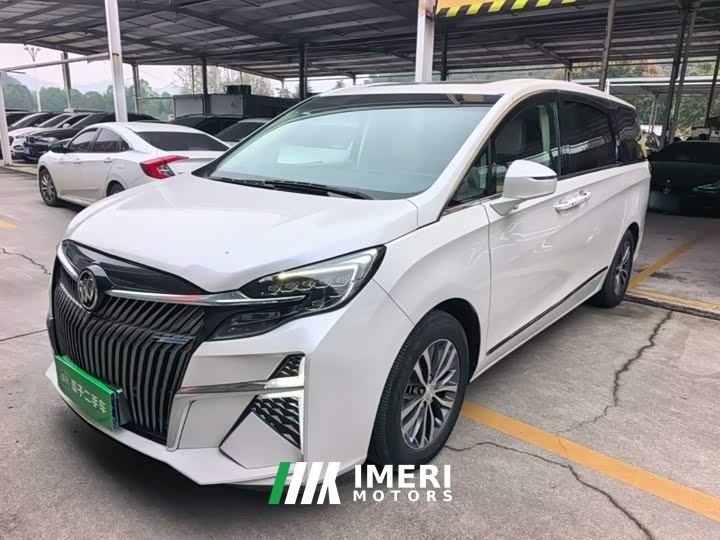 Buick GL8 ES Luxe 653T Comfort