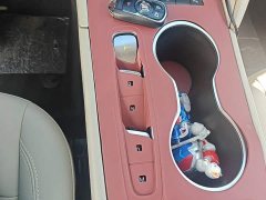 Buick Regal 552T Elite - photo 13