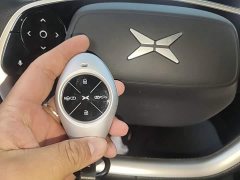 XPeng P7 480N - ფოტო 8