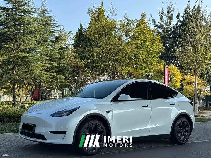 Tesla Model Y Rear-Wheel Drive