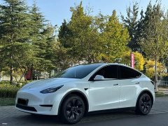 Tesla Model Y Rear-Wheel Drive - photo 1