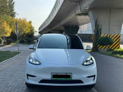 Tesla Model Y Rear-Wheel Drive - photo 2