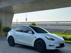 Tesla Model Y Rear-Wheel Drive - photo 3