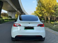 Tesla Model Y Rear-Wheel Drive - photo 5