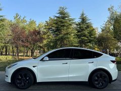 Tesla Model Y Rear-Wheel Drive - photo 6