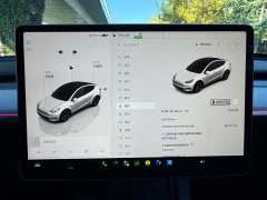 Tesla Model Y Rear-Wheel Drive - photo 9
