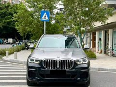 BMW X5 (Imported) xDrive40i M Sport Package - photo 3