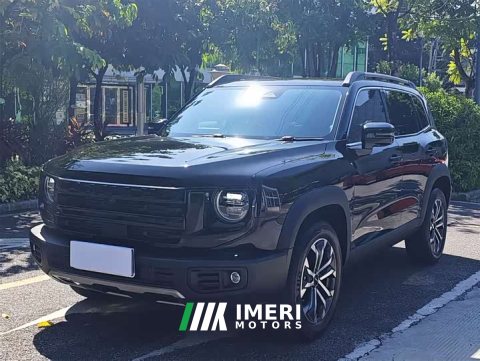 2025 Great Wall Dachshund 1.5T DCT Border Collie Edition - ავტომობილი ჩინეთიდან