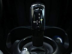 BMW MINI 2.0T COOPER S Black Label Special Edition - ფოტო 19