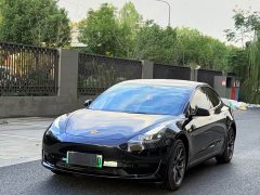 Tesla Model 3 Rear-Wheel Drive - ფოტო 1