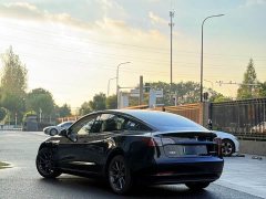 Tesla Model 3 Rear-Wheel Drive - ფოტო 10