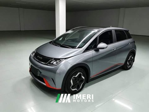 2023 BYD Dolphin 405km Fashion Edition - ავტომობილი ჩინეთიდან