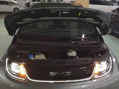 BYD Dolphin 405km Fashion Edition - photo 19
