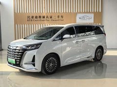 Denza D9 DM-i 970 AWD Premium Edition - photo 1