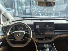 Denza D9 DM-i 970 AWD Premium Edition - photo 10