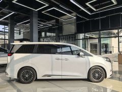 Denza D9 DM-i 970 AWD Premium Edition - photo 19