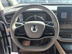 Denza D9 DM-i 970 AWD Premium Edition - photo 8