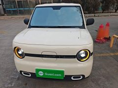 Geely Panda Mini 210km Vitality Edition - ფოტო 2