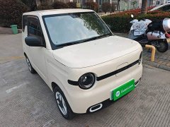 Geely Panda Mini 210km Vitality Edition - ფოტო 3